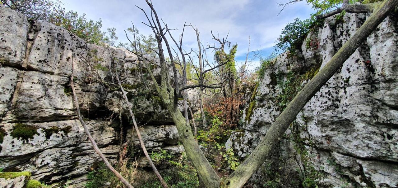 La Grange - Chez Gisi - Fuer Naturliebhaber, Abenteurer Und Geniesser Rocles  Bagian luar foto