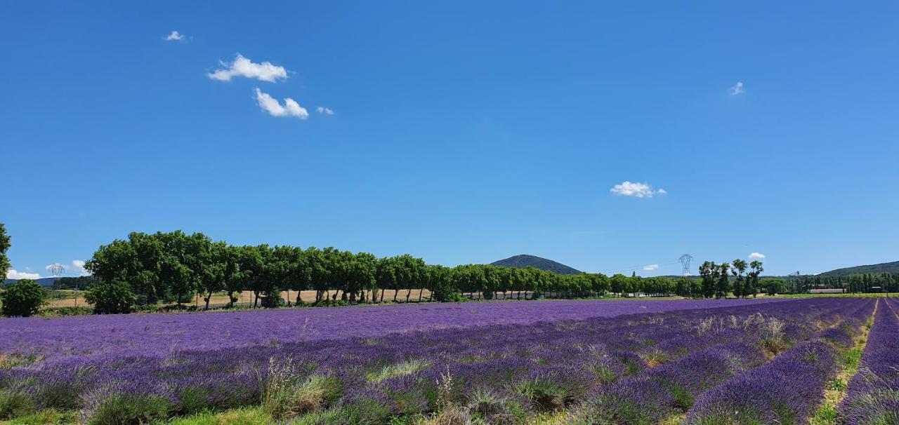 La Grange - Chez Gisi - Fuer Naturliebhaber, Abenteurer Und Geniesser Rocles  Bagian luar foto